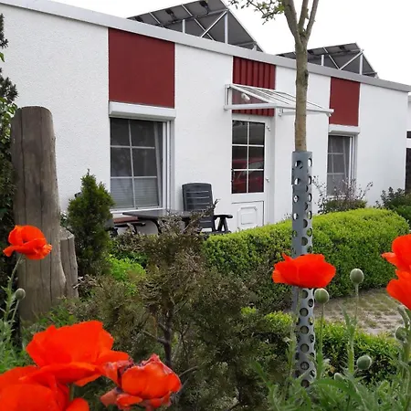 Zwischen Und Bodden App 01 Daire Ahrenshoop